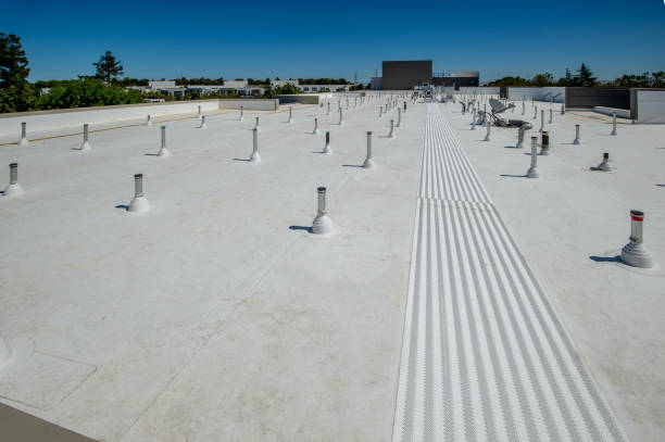 Best Emergency Roof Repair Services  in Belle, WV