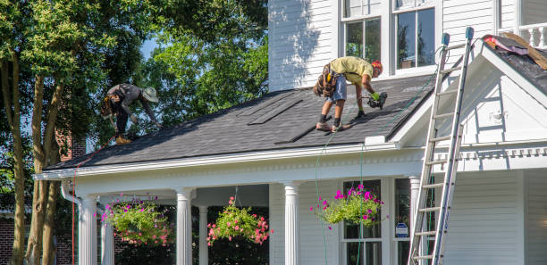 Best Roof Leak Repair  in Belle, WV